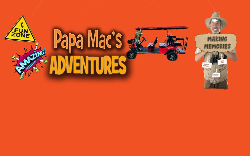 banner-image